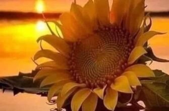 Бажаємо тобі всього самого найкращого!