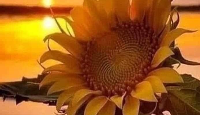 Бажаємо тобі всього самого найкращого!