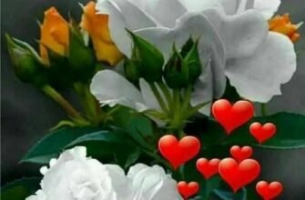 Бажаю міцного здоров’я, удачі, любові!