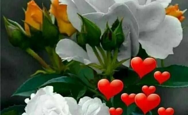 Бажаю міцного здоров’я, удачі, любові!