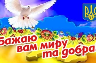 Бажаю миру і добра, Любові та душевного тепла!