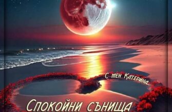 Бажаю океану щастя, взаємної любові, вірних друзів