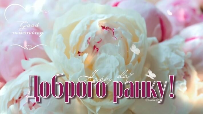 Бажаю прекрасного ранку, чудового настрою!