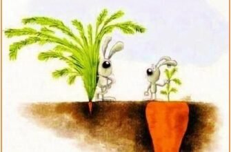 Бажаю, щоб натхнення, удача і успіх завжди були твоїми супутниками.