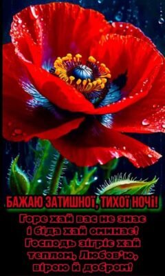 Бажаю, щоб ніщо не затьмарювало гарного настрою