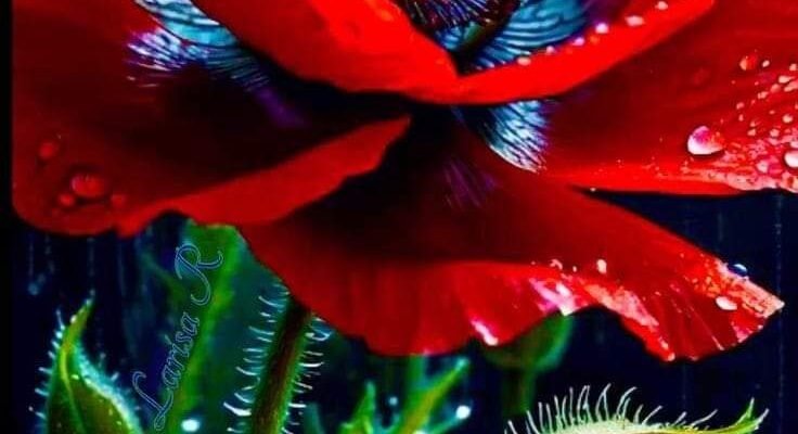 Бажаю, щоб ніщо не затьмарювало гарного настрою