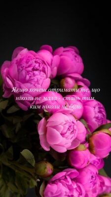 Бажаю, щоб улюблена справа приносила радість
