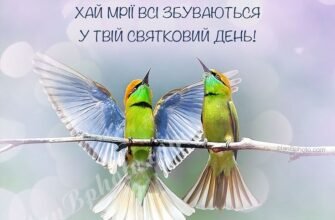 Бажаю, щоб втілилися в життя всі ваші мрії