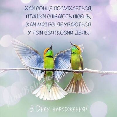 Бажаю, щоб втілилися в життя всі ваші мрії