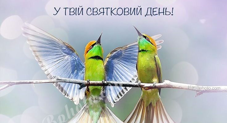 Бажаю, щоб втілилися в життя всі ваші мрії