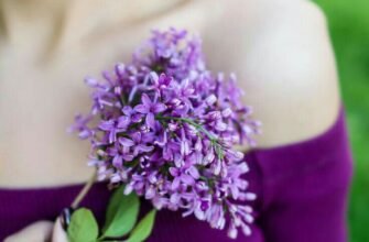 Бажаю тобі бути білою і пухнастою