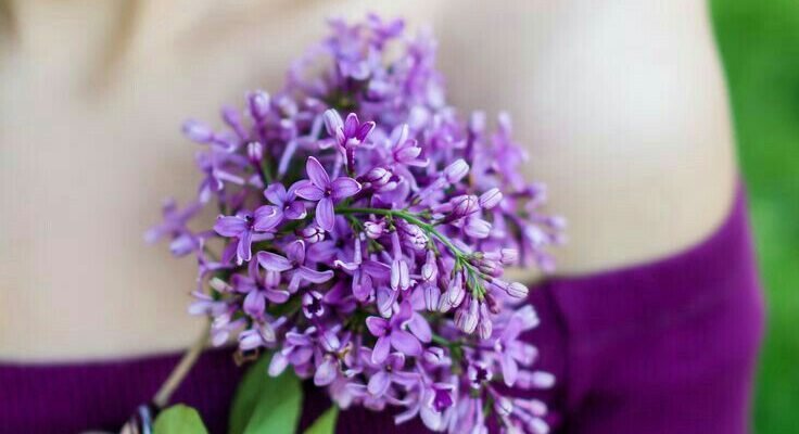 Бажаю тобі бути білою і пухнастою