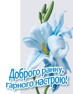Бажаю тобі сонячного настрою, натхнення, щастя, любові