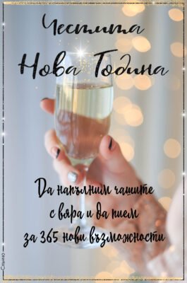 Бажаю в Новому році 365 днів удачі