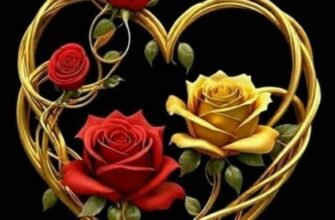 Бажаю вашому дому світла і тепла