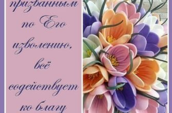 Благословіть, Святий Отець, і дозвольте привітати Вас з днем народження
