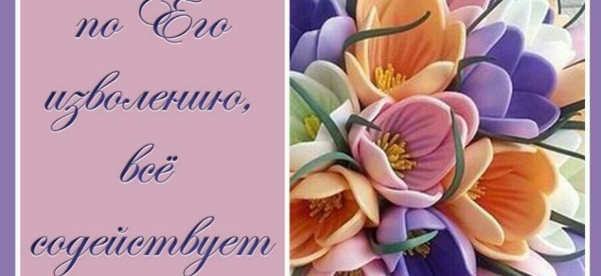 Благословіть, Святий Отець, і дозвольте привітати Вас з днем народження