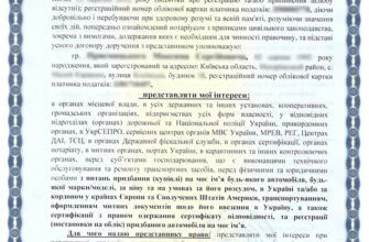 Як правильно оформити доручення на автомобіль: покрокова інструкція