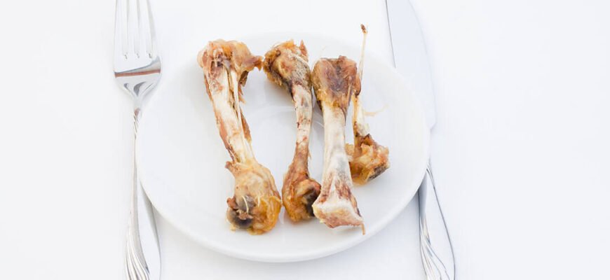 Чи можна давати собаці кістки?