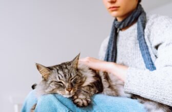 Лупа у кота: косметичний дефект чи сигнал про хворобу?