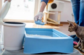 Коли кошенята починають ходити в туалет?