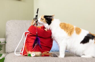 Коти і котяча м'ята