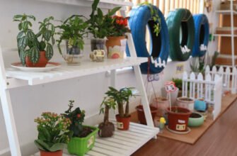 Як правильно оформити куточок природи в ДНЗ: практичні поради та ідеї