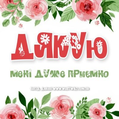 Дякую за щирі побажання і теплі слова Дякую за щирі побажання і теплі слова