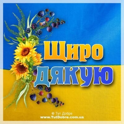 Дякую за щирі вітання і теплі побажання