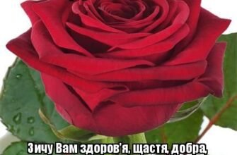 Дякую за теплі і щирі слова, за ваші вітання