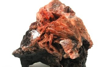 Диаспора: Вплив та Значення Українців за Межами Батьківщини