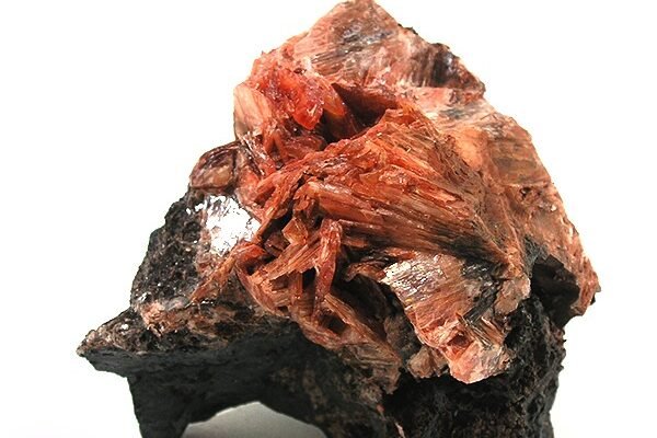 Диаспора: Вплив та Значення Українців за Межами Батьківщини