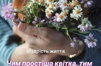 Дівчата! Ви самі добрі, розумні, красиві і взагалі чудові створіння