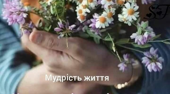 Дівчата! Ви самі добрі, розумні, красиві і взагалі чудові створіння