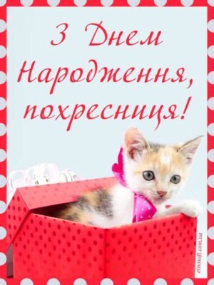 Для похресниці на день народження я побажаю веселощів від душі