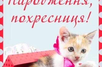 Для похресниці на день народження я побажаю веселощів від душі