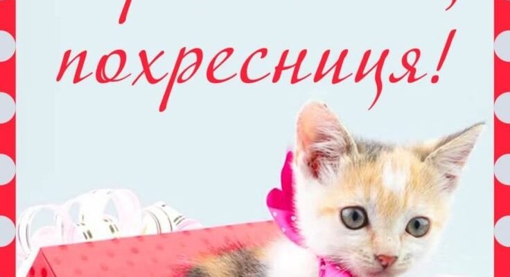 Для похресниці на день народження я побажаю веселощів від душі