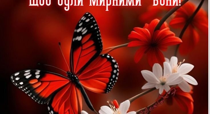 Добраніч, моя люба! Нехай ніч подарує тобі казкову подорож