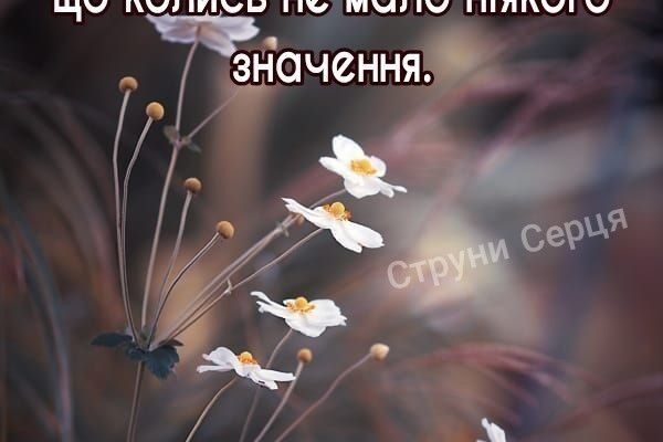 Добро пізнала у житті, І щоб сміялися до тебе