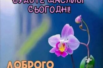 Доброго ранку! Бажаю бадьорого пробудження, безтурботної неквапливості