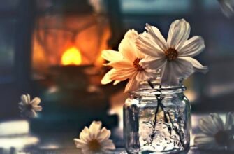 Дочка мала два яблука, мати попросила одне дати їй