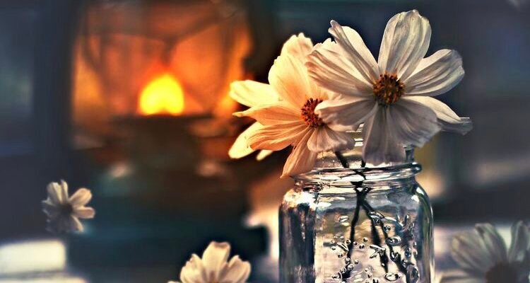 Дочка мала два яблука, мати попросила одне дати їй Дочка мала два яблука, мати попросила одне дати їй