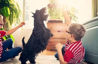 Іграшки для собаки