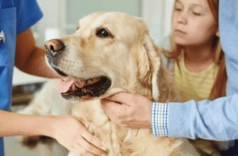 Лептоспіроз у собак