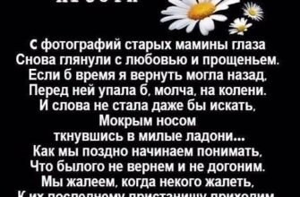 Дорога матуся, як ти колись берегла мене