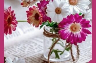 Дорогі бабоньки, життя наше стає набагато приємнішим