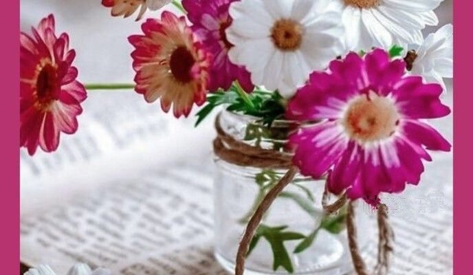 Дорогі бабоньки, життя наше стає набагато приємнішим