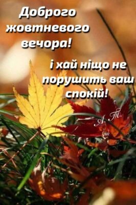 Дорогі дівчата! Сьогодні хотілося б побажати вам сонцесяйного настрою Дорогі дівчата! Сьогодні хотілося б побажати вам сонцесяйного настрою