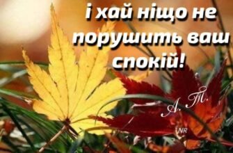 Дорогі дівчата! Сьогодні хотілося б побажати вам сонцесяйного настрою