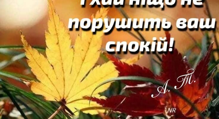 Дорогі дівчата! Сьогодні хотілося б побажати вам сонцесяйного настрою